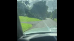 Trippie Bri - Car Sex With Door Dasher