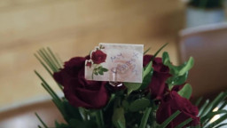 Aleksa Mink - What She Would Have Wanted 28 04 2026