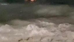 OnlyFans - Fernanda Welter - Night Orgy At Beach